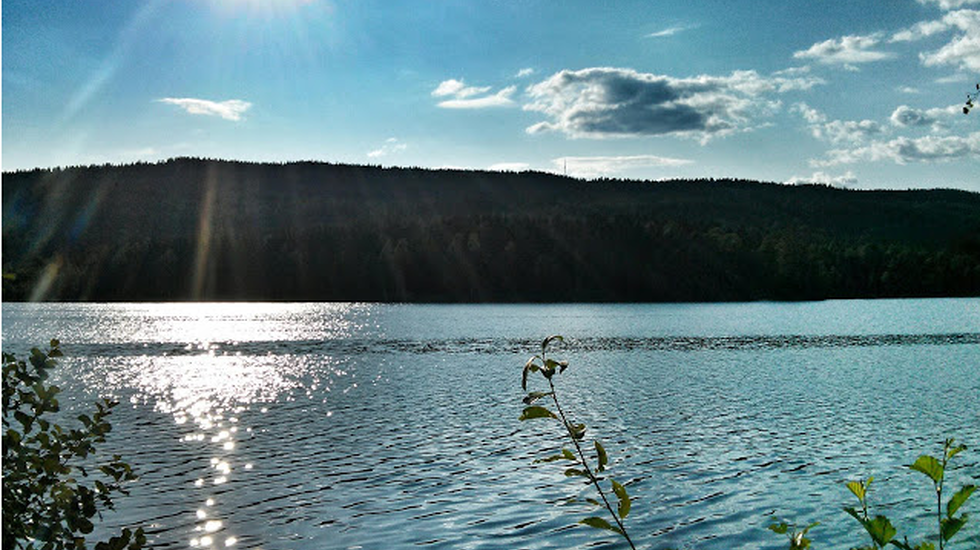 Sol over Sognsvann i juli 2013