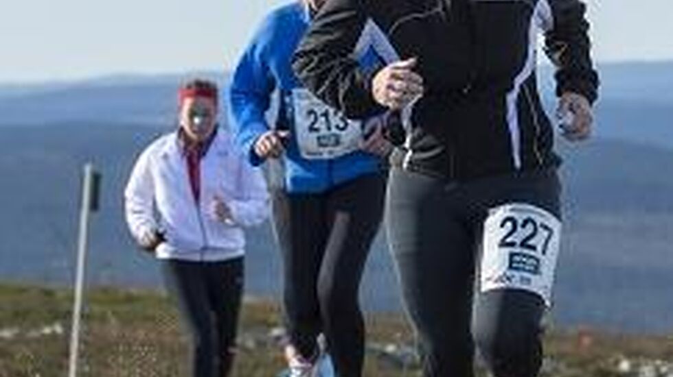 Jenter_paa_fjellet_cropped_242x264