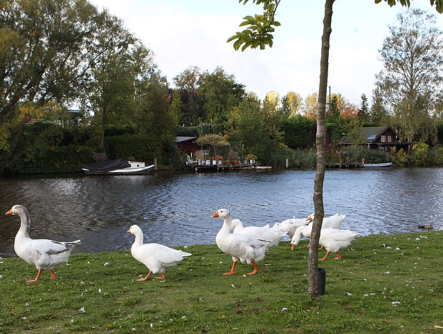 Rett_ved_Olympiske_stadion_A20G2402.jpg