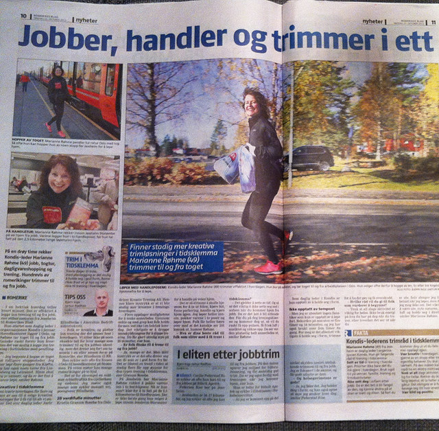 kondis_romerikes_blad_ingress