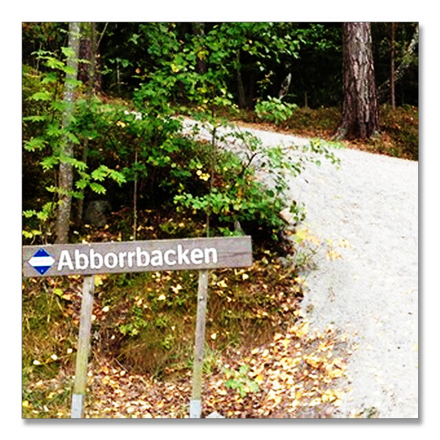 Abborbakken