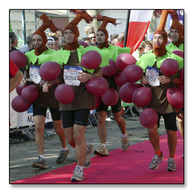 Medoc utkledning