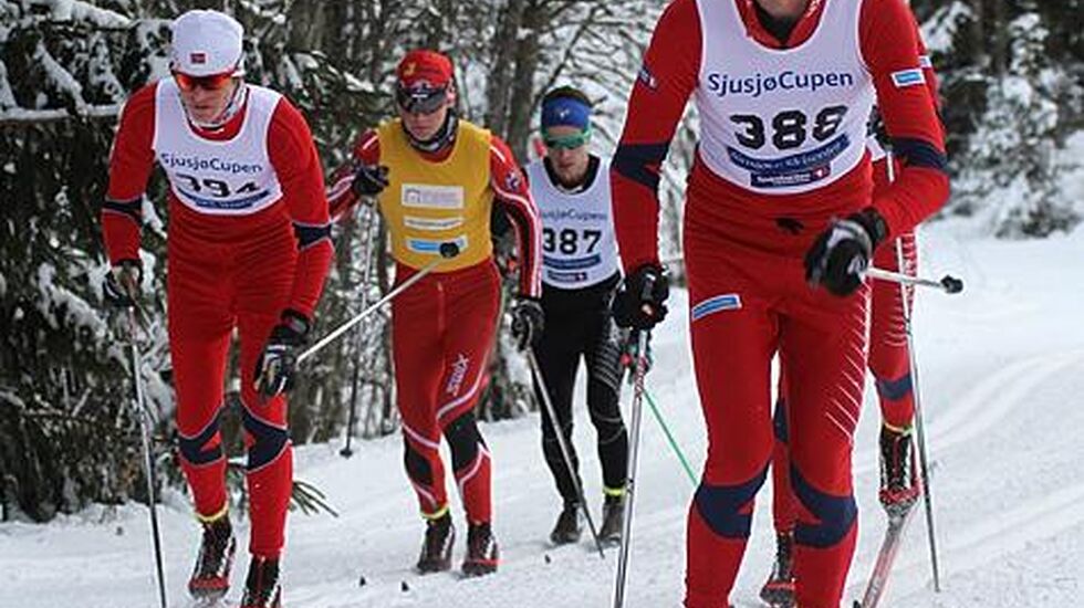 M19-20_Espen_Hognanvik_Holen_cropped_475x488