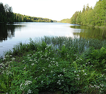 D30_0595_2