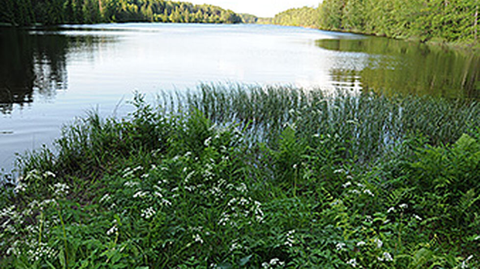 D30_0595_2