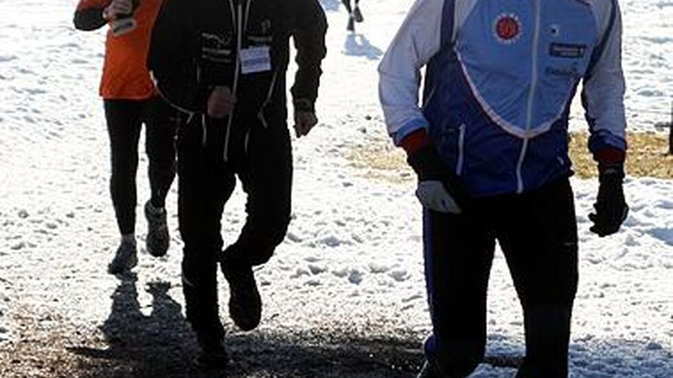 Trio_i_motsol_cropped_379x404