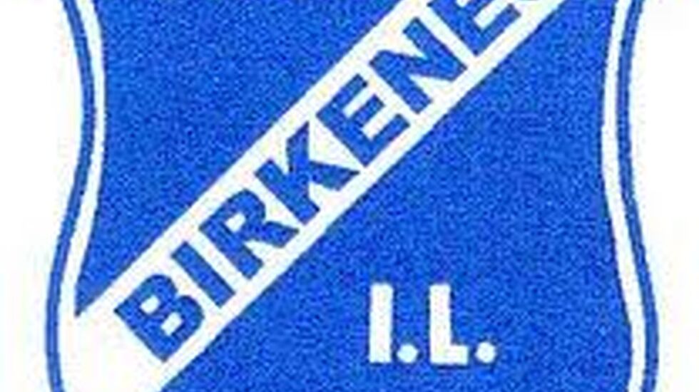 Birkenes