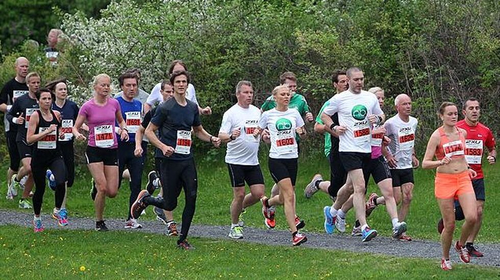 Grønt i Fornebuløpet i 2013. Foto: Kjell Vigestad