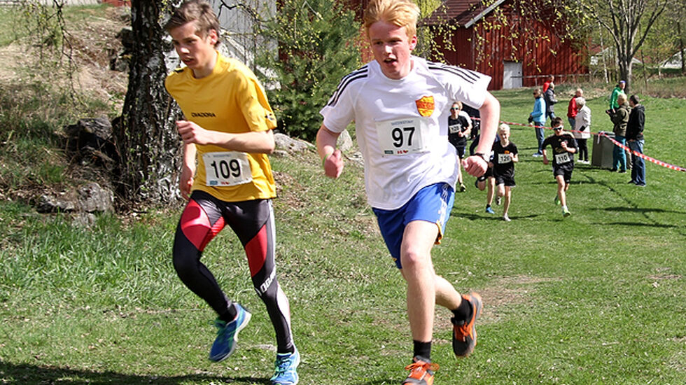 Martin_Gronvold_