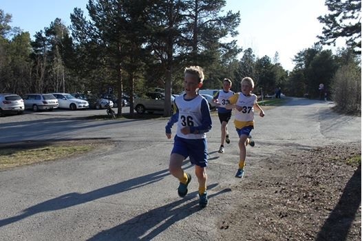 Sandfalljoggen_1_2014