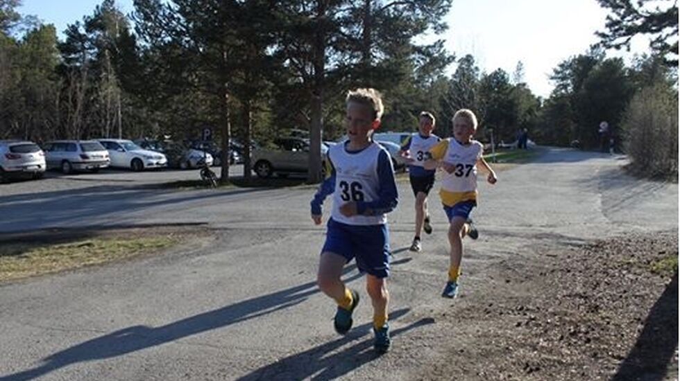 Sandfalljoggen_1_2014