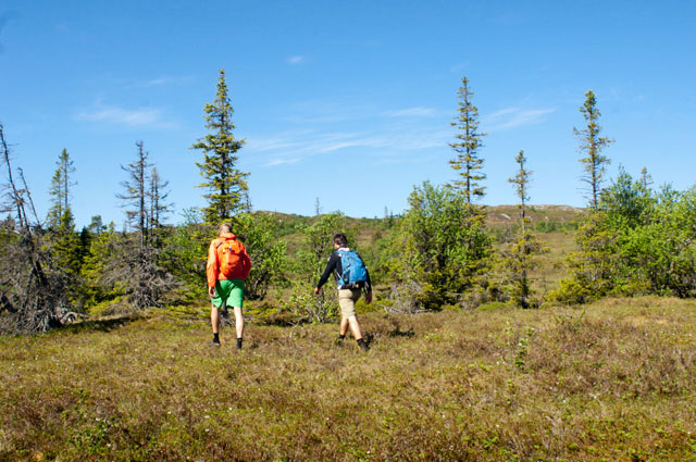 07_Blåfjella-Skjækerfjella, lang mars inn mot Midtiklumpen.jpg
