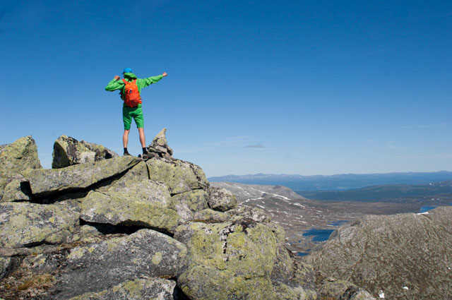 09_Blåfjella-Skjækerfjella, toppen av Midtiklumpen.jpg