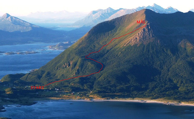 Loeypa_inntegnet