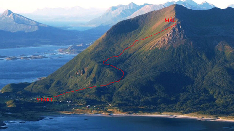 Loeypa_inntegnet