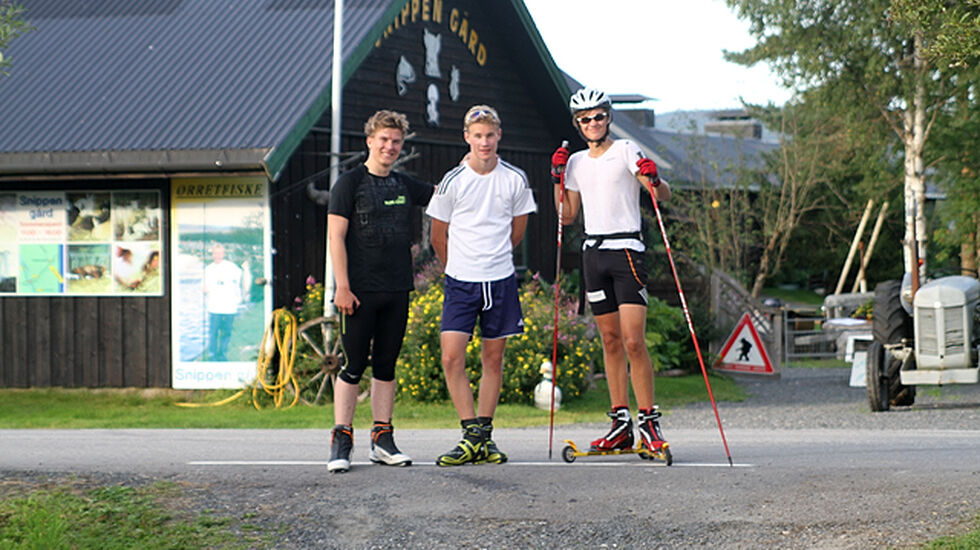 Tre_ved_Snippen_gaard