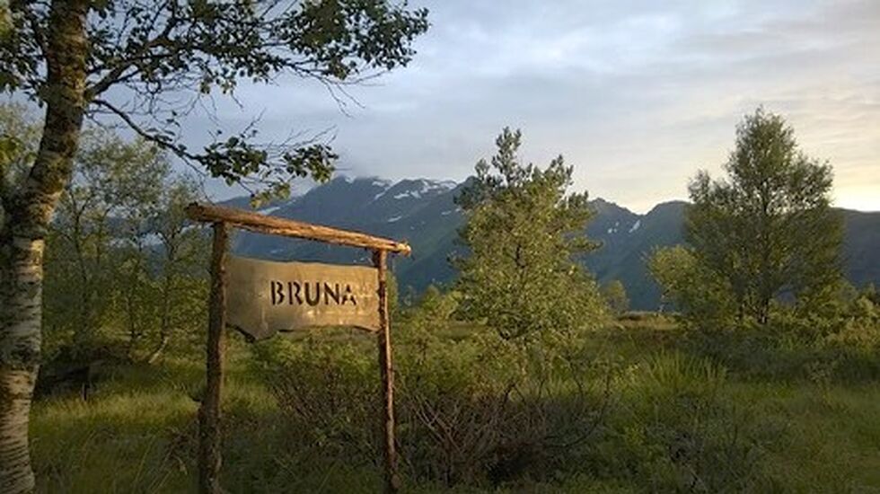 Bruna_Opp_intro