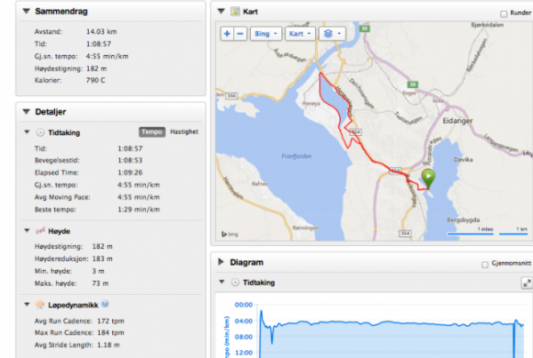 Garmin_ingress