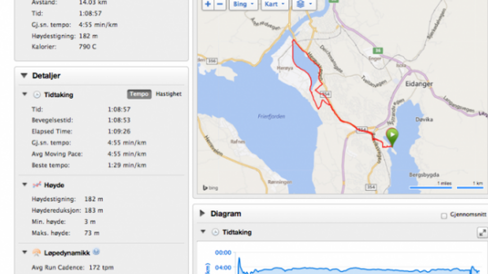 Garmin_ingress