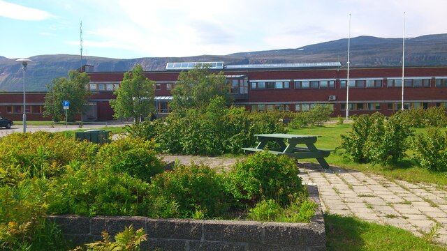 Rådhuset II 2012