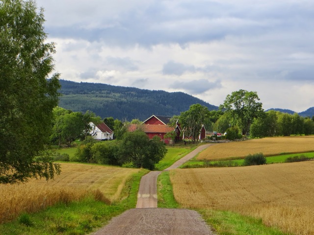 Landige omgivelser venter på EcoTrailOslo (foto: Henning Lauridsen)