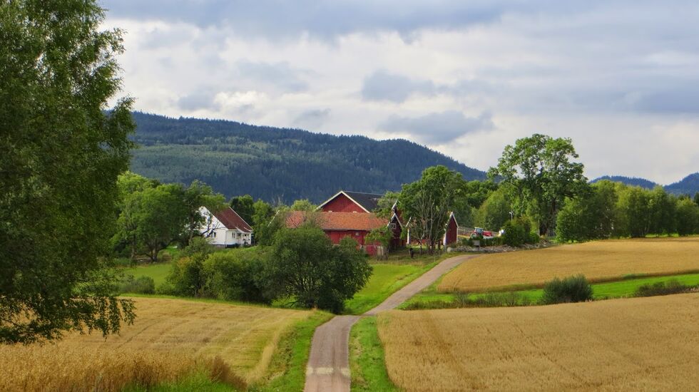 Landige omgivelser venter på EcoTrailOslo (foto: Henning Lauridsen)