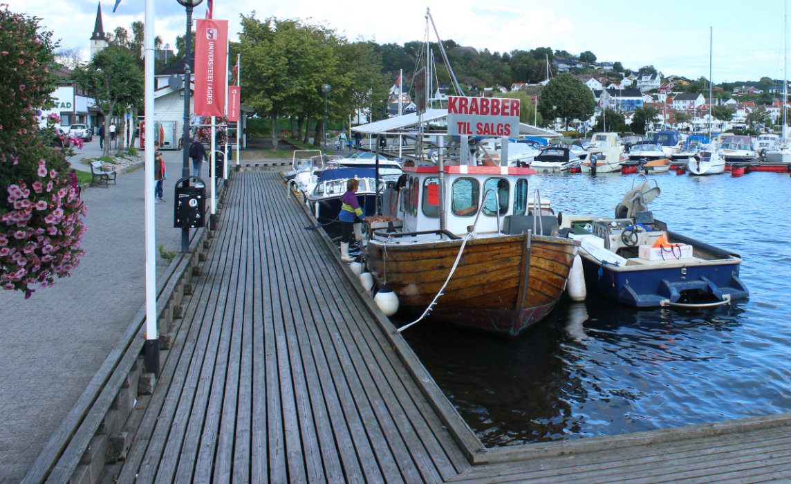 KajenGrimstad.jpg