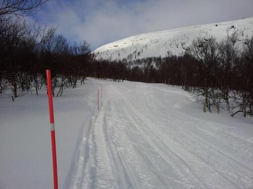 Ferdigmerket skuterløype