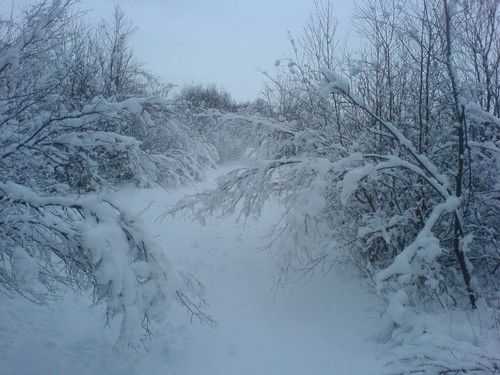 Novembersne_500x375