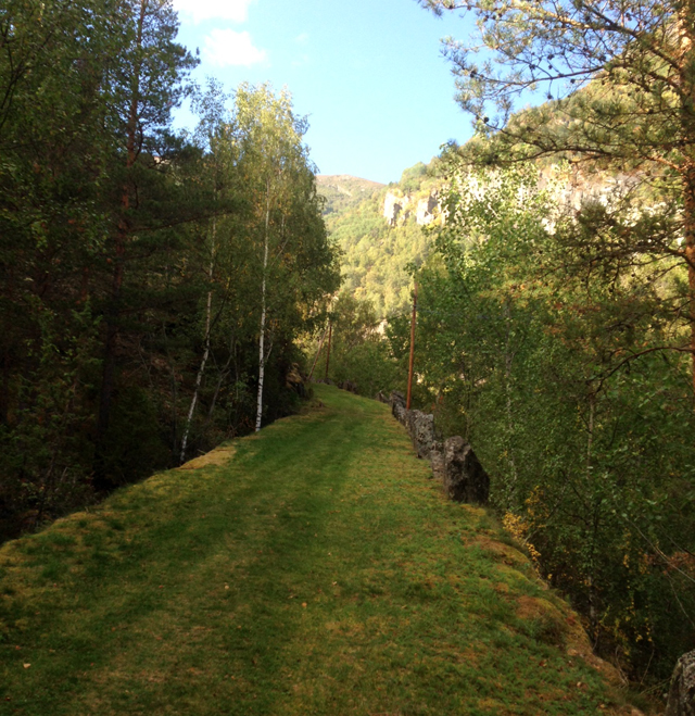 640_Silkemjukt-løpsunderlag_Foto_ChrPrestegård.jpg