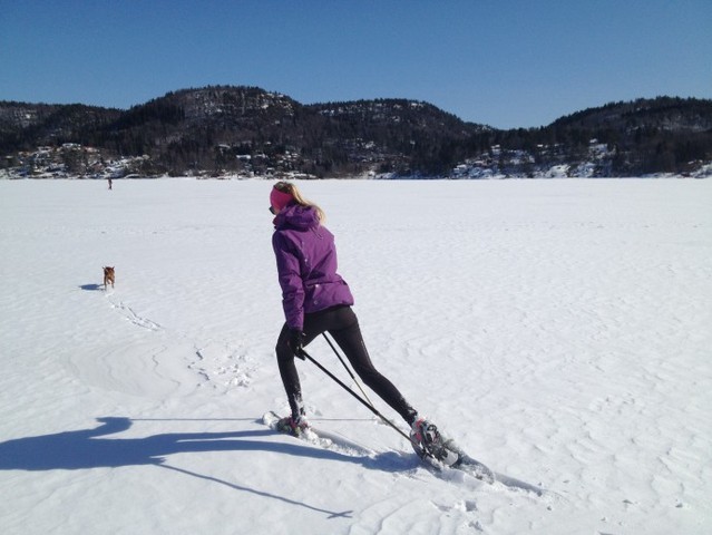 ski_i_sol_640x480