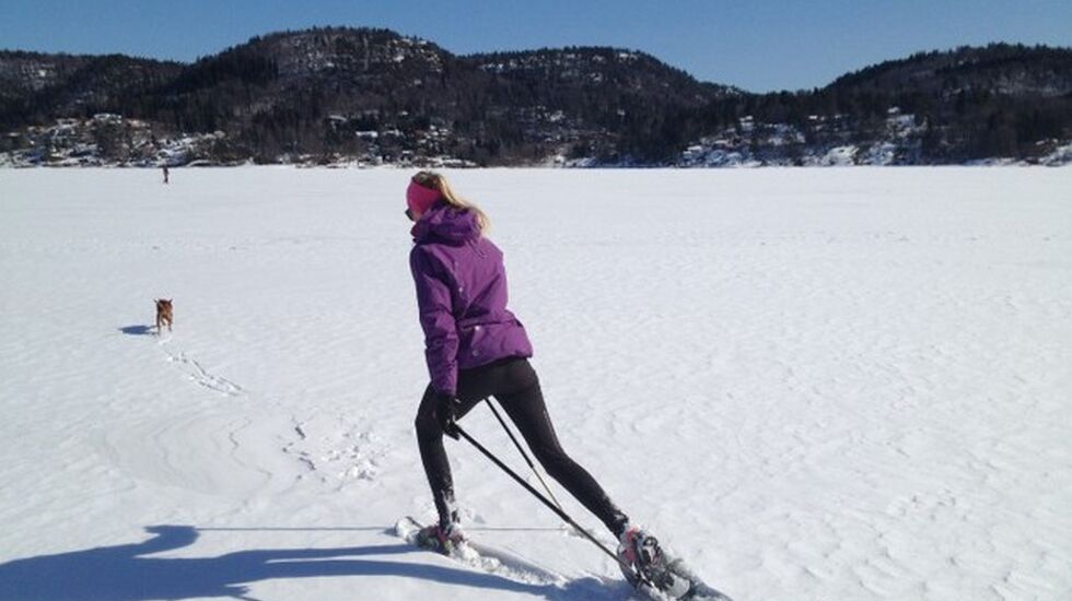 ski_i_sol_640x480