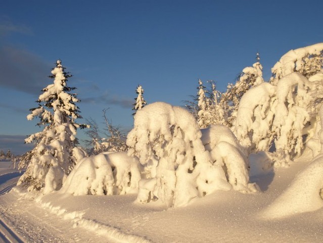 Vinterlandskap_640x480