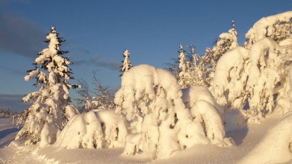 Vinterlandskap_640x480