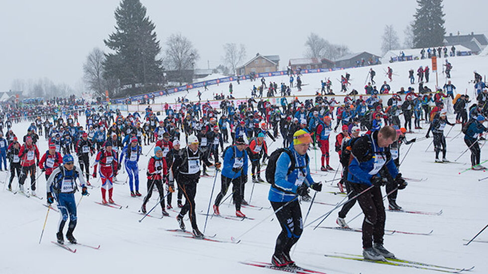 015_fredagsbirken_200315