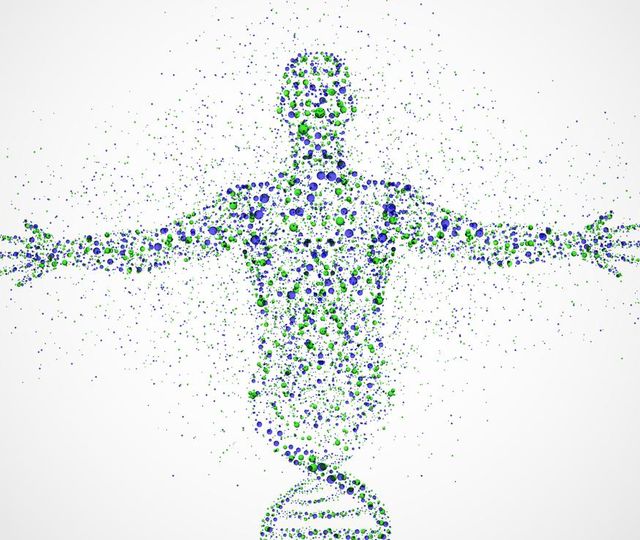 Fra genierklært til «vandrende katastrofe»