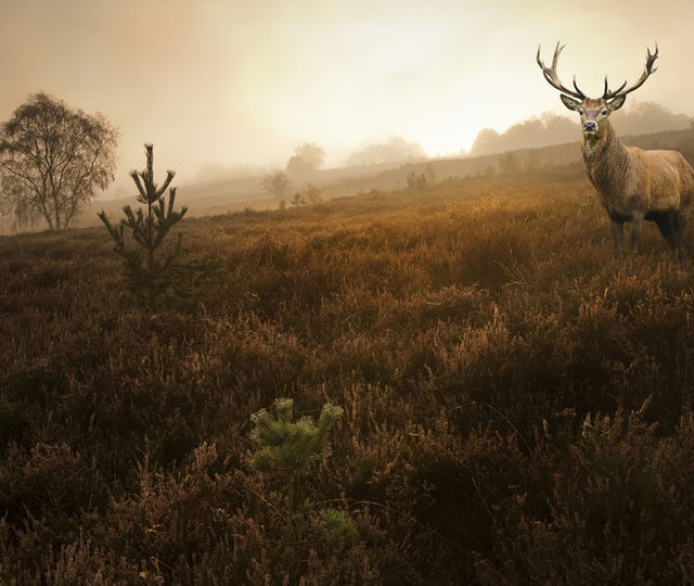 La visjonen vise vei!