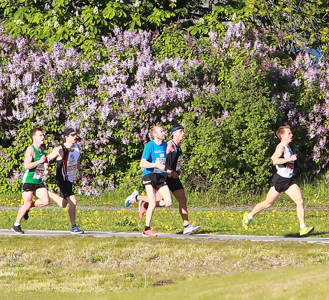 Flotte omgivelser: Det er teten på 10 km vi ser etter en drøy kilometer. (Foto: Kjell Vigestad)