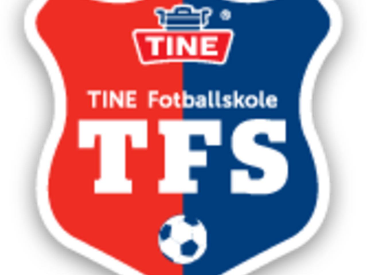 Tine TFS