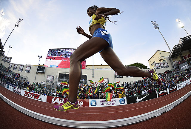 Genzebe Dibaba foran sine fans under 5000m på Bislett Games tidligere i år. (Foto: Bjørn Johannessen)