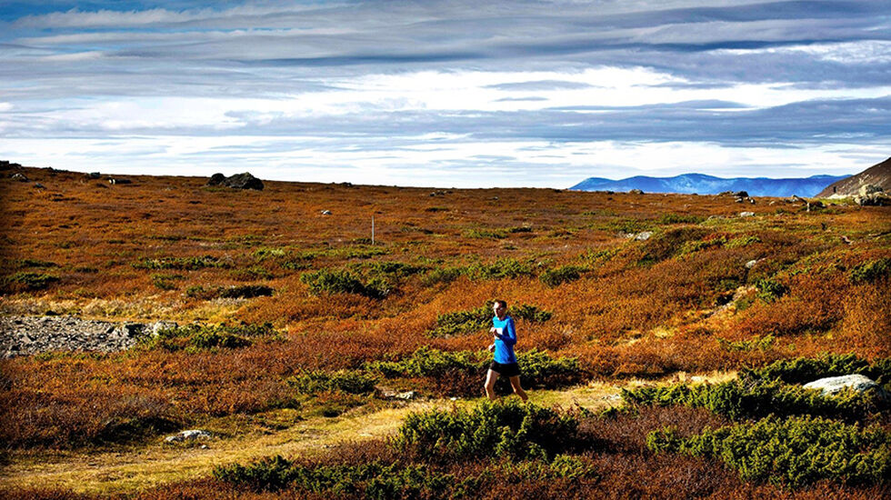 TrollheimenMaraton