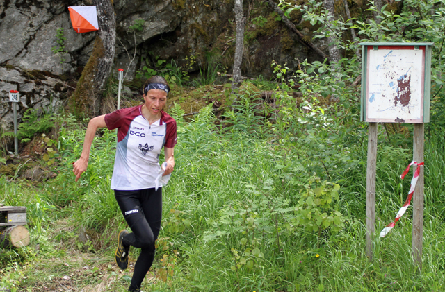 AMHNordberg