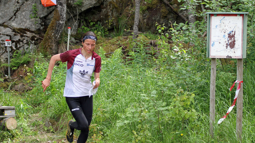 AMHNordberg