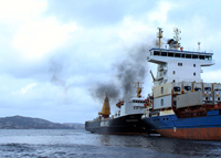 Schneider Pollution at the Port of Bergen-200.jpg