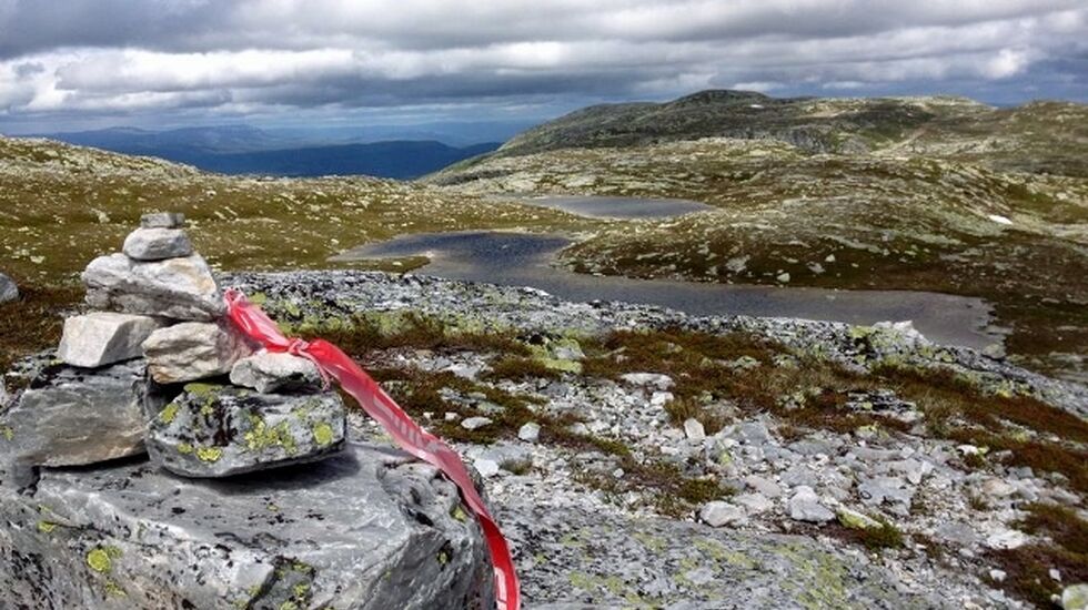 Motiv fra løypa (foto:Mona Kjeldsberg)