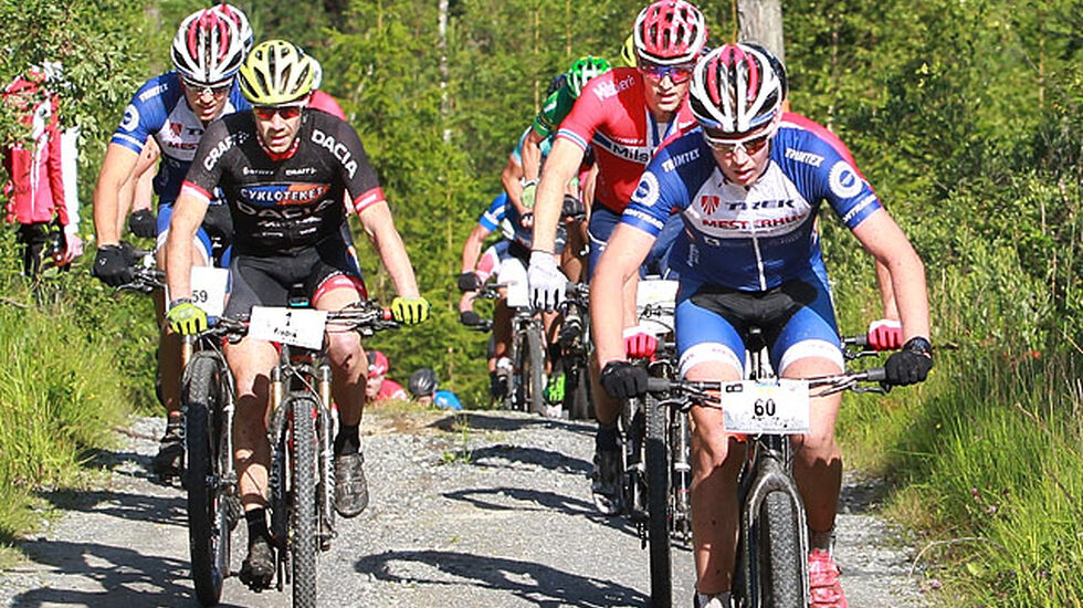 Tetfeltet ved Fiskvik fra Grenserittet i 2015. Foto: Kjell Vigestad
