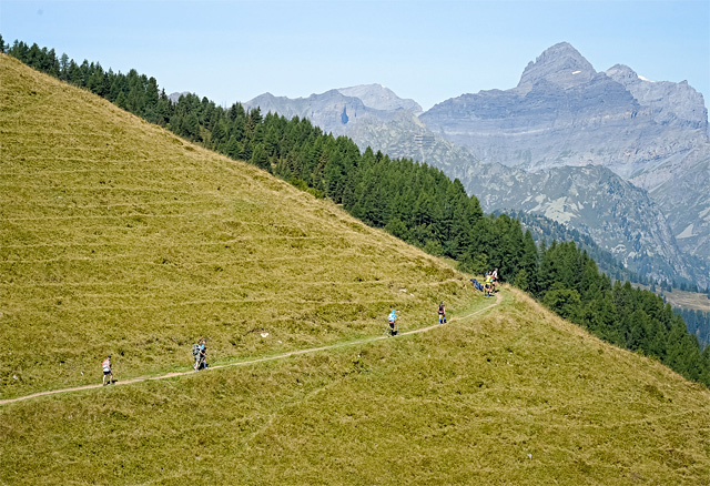 OCC_Ultra-Trail_du_Mont-Blanc_photo_Pascal_Tournaire.jpg