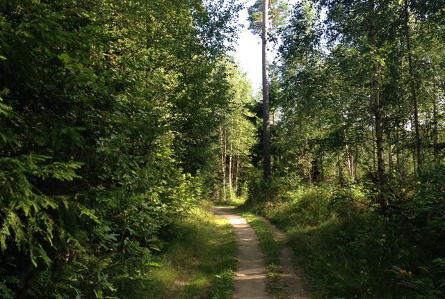 Rekreasjon: Dørstokkmila blir ikke lang med slike skoger utenfor stuedøra. (Foto: Marianne Røhme)