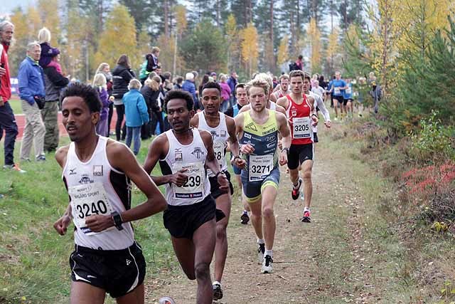 Fra starten på 10 km 2015 (foto: Tom Roger Johansen).