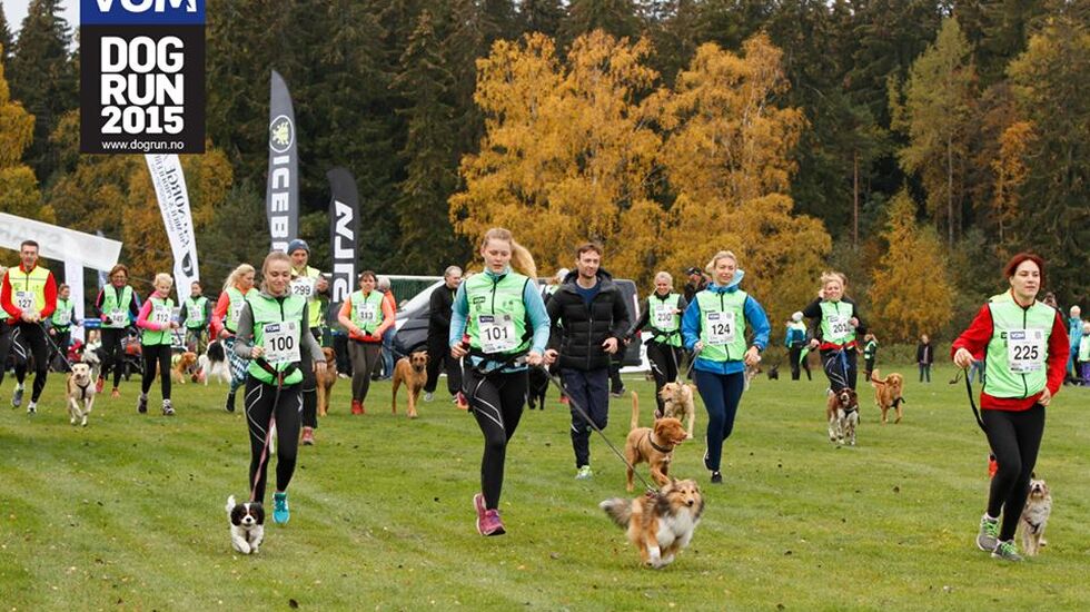 Fra starten på 3,5 km med tid: Vi ser blant annet 100 Benedicte Grasli med Sandy og 101 Victoria Podolski med Mitzi. (Arrangørfoto).